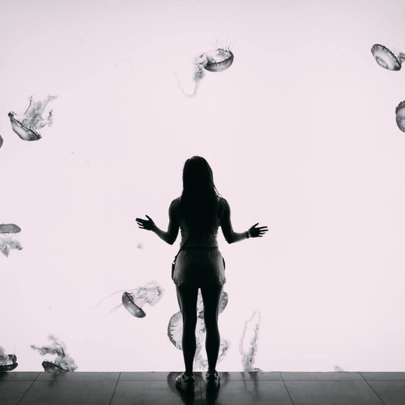 Meet your Posher, Alexis - Picture 1 of 1